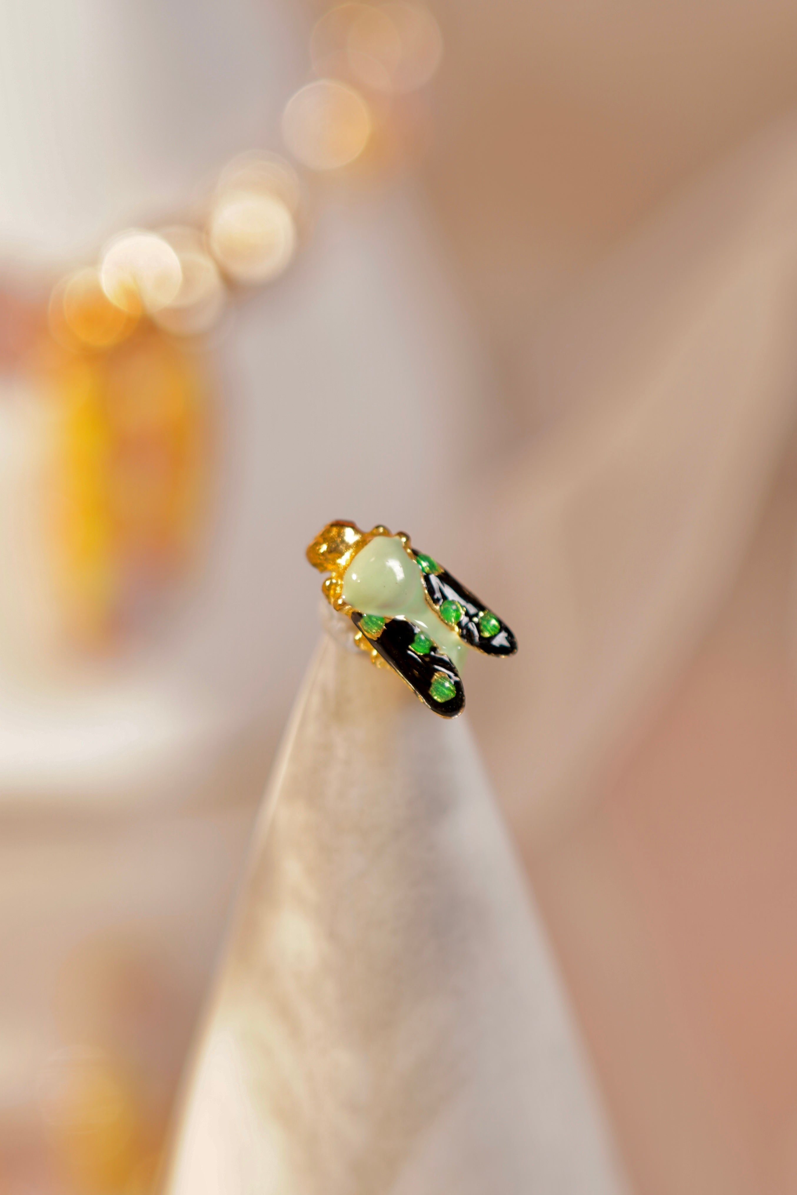 Colorful Wasp