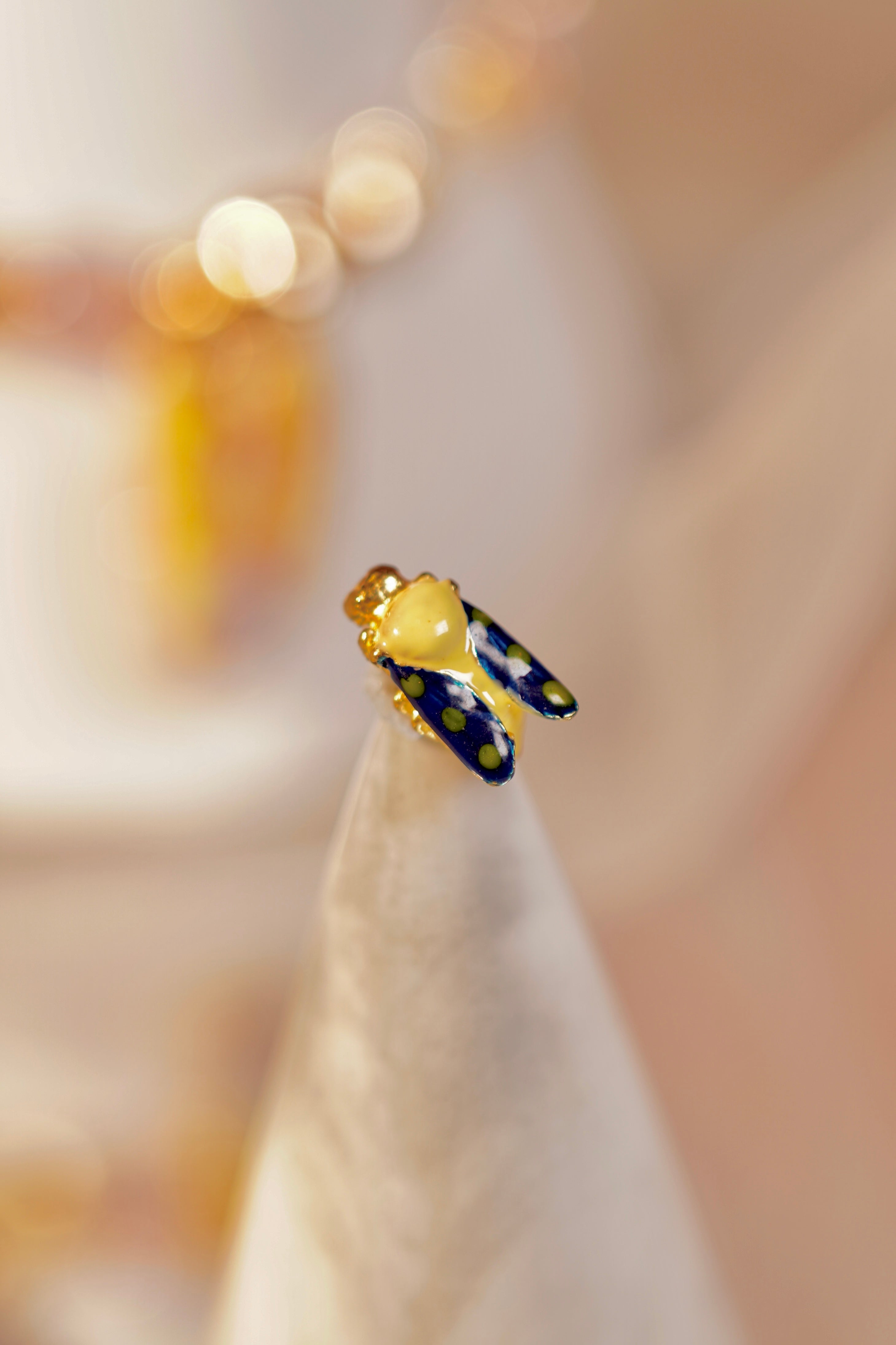 Colorful Wasp