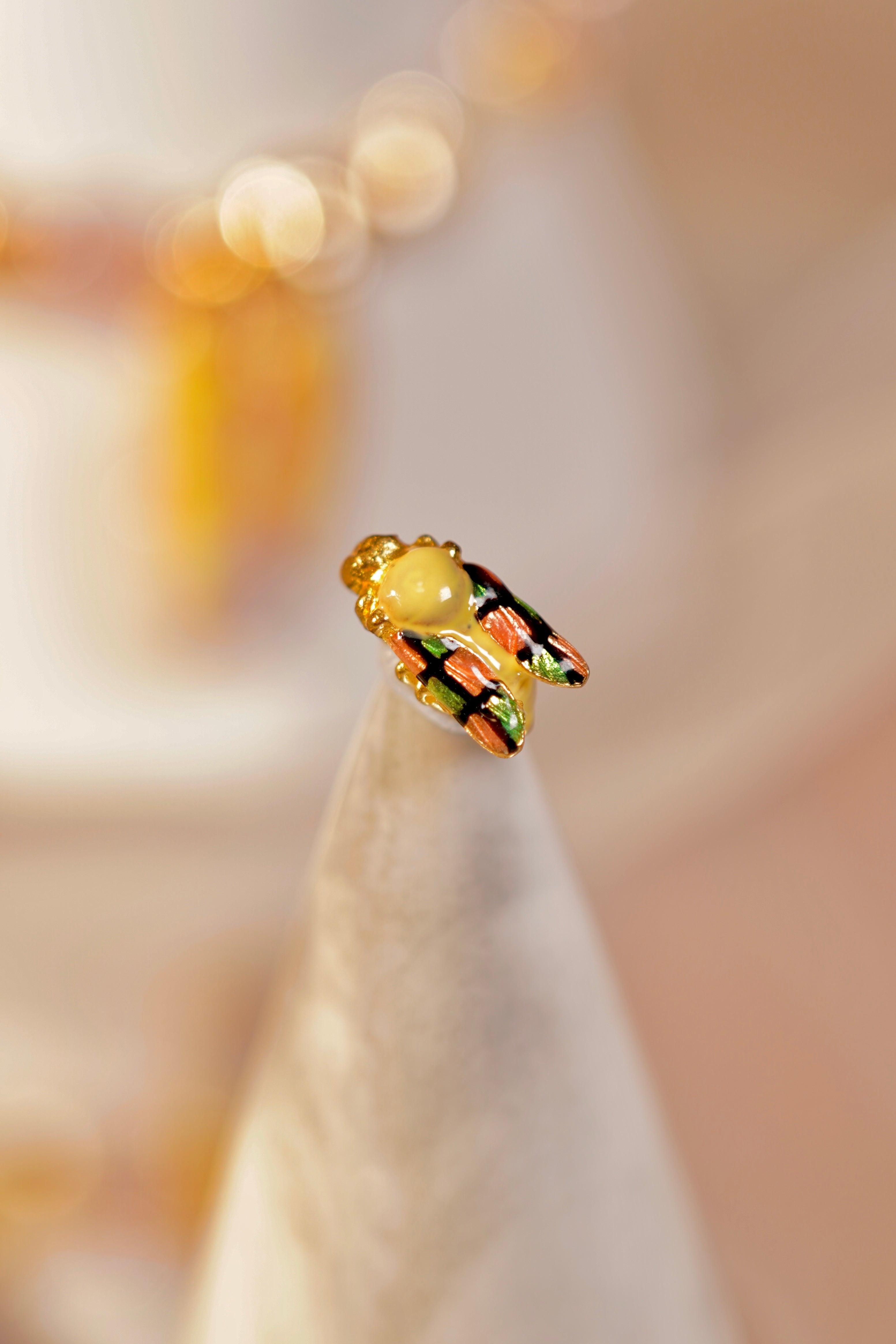 Colorful Wasp