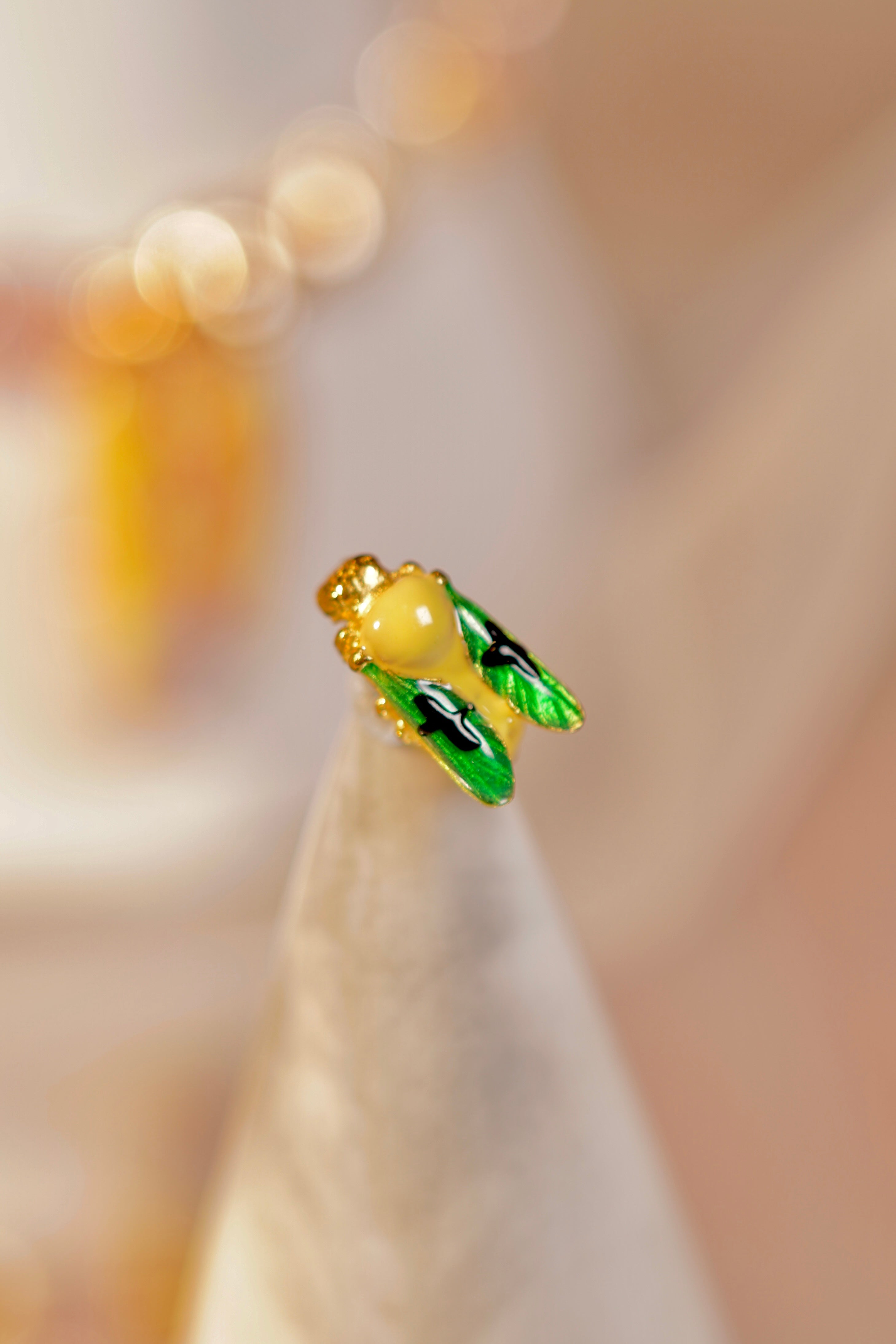Colorful Wasp